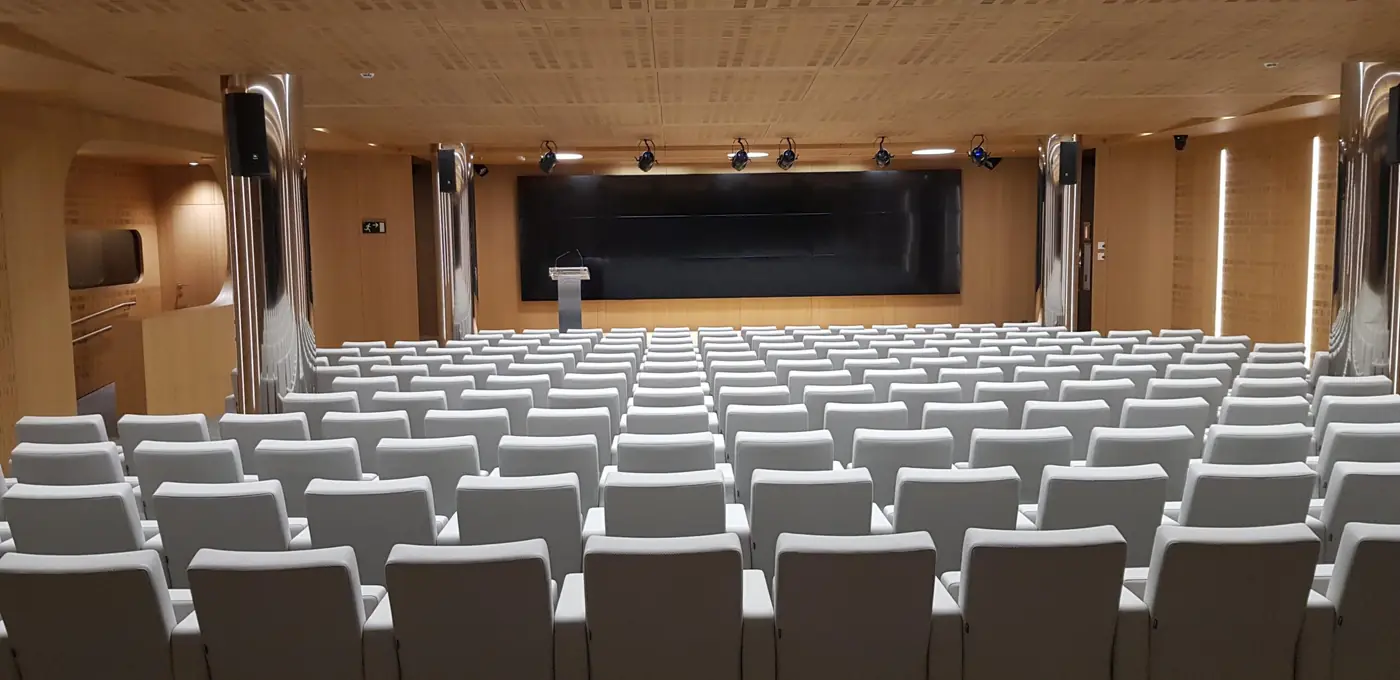 Paramentos laterales de madera del auditorio